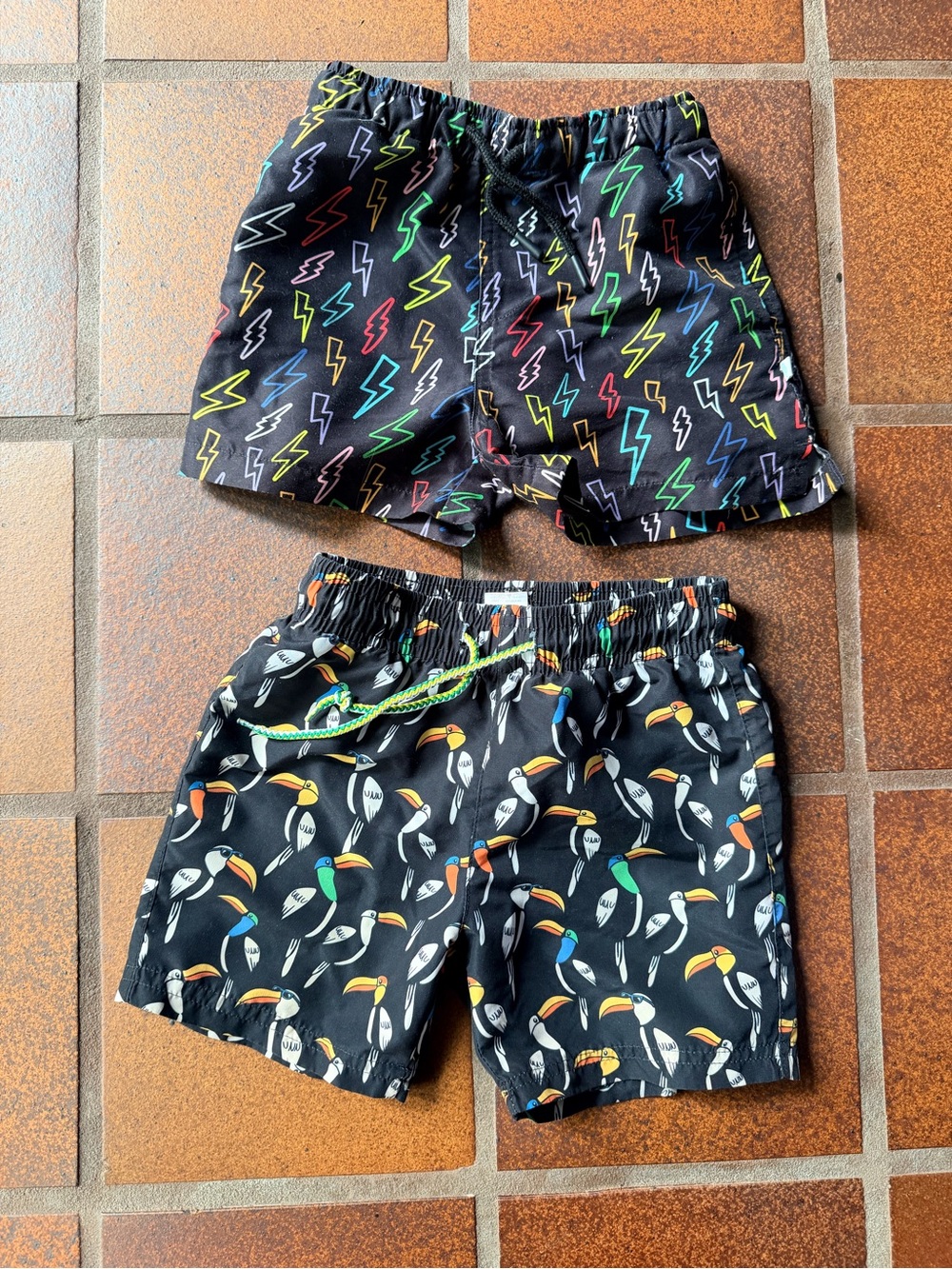 Posh Peanut Black Toucan & Multicolor Lightning Kids Swim Shorts Set